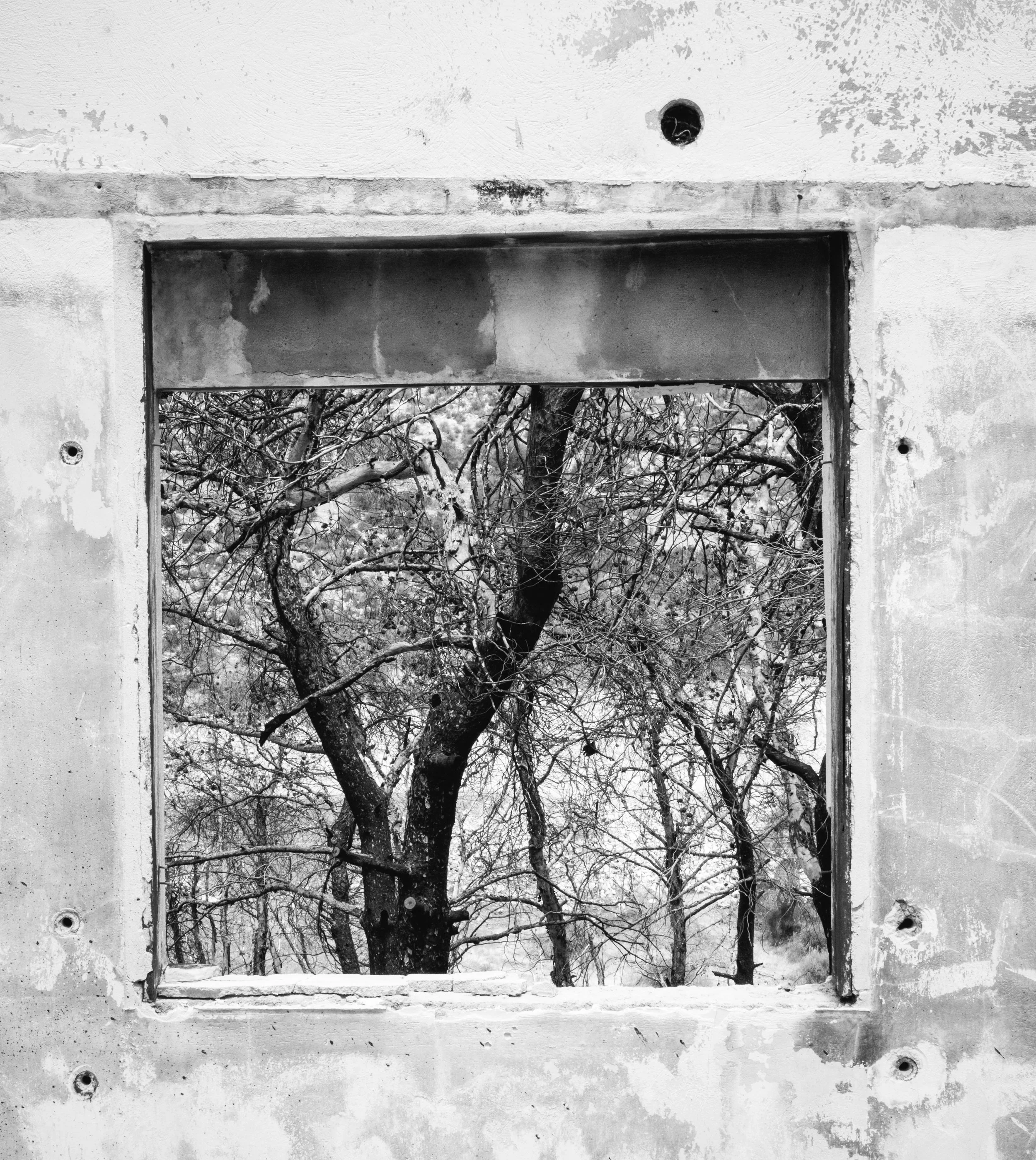 Circle of Ashes, plate 02, by Giorgos Panagou